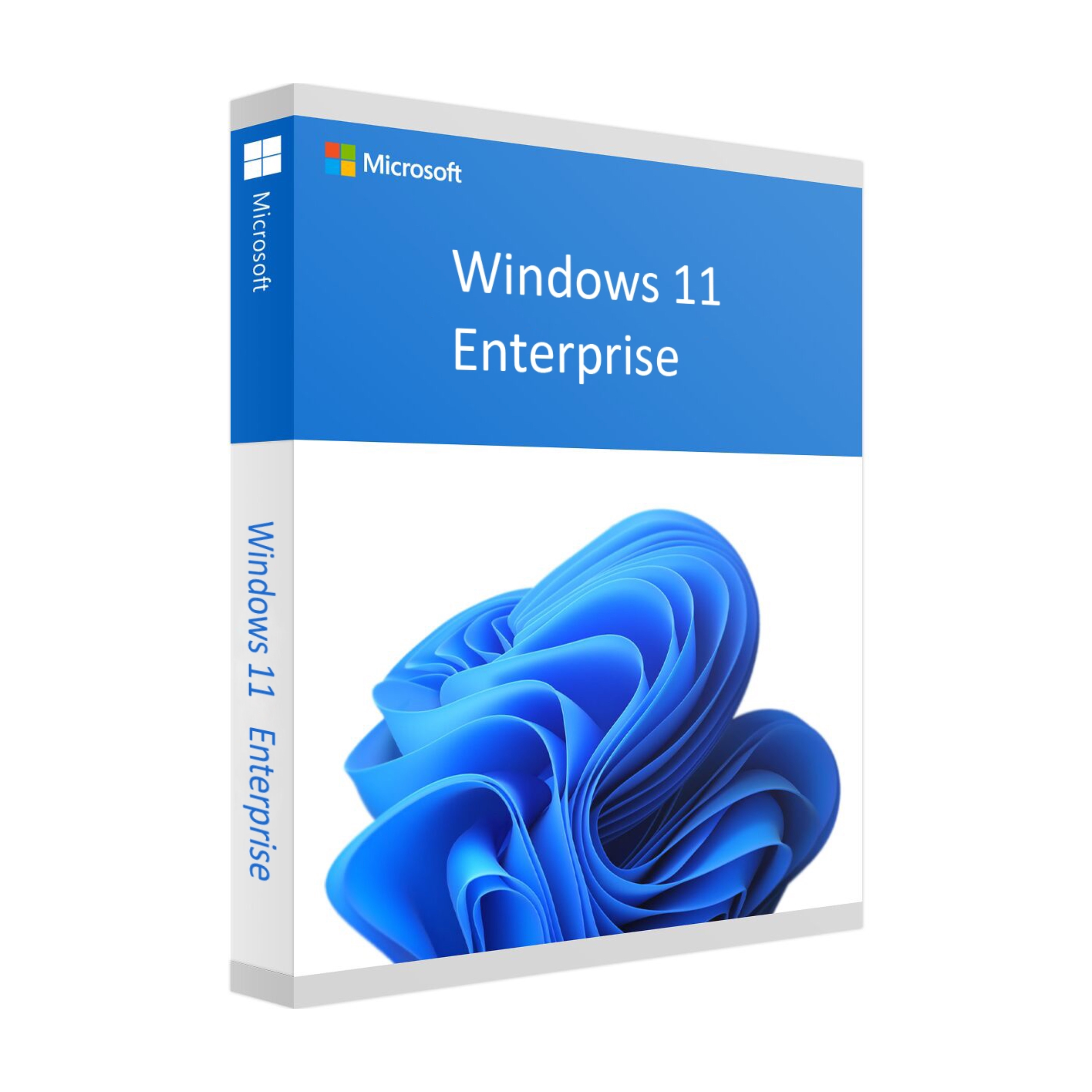 Microsoft Windows 11 Entreprise | 1 exemplaire