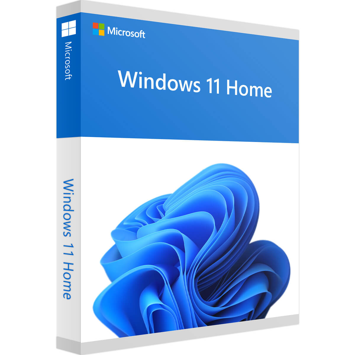 Microsoft Windows 11 Édition Familiale | 1 exemplaire
