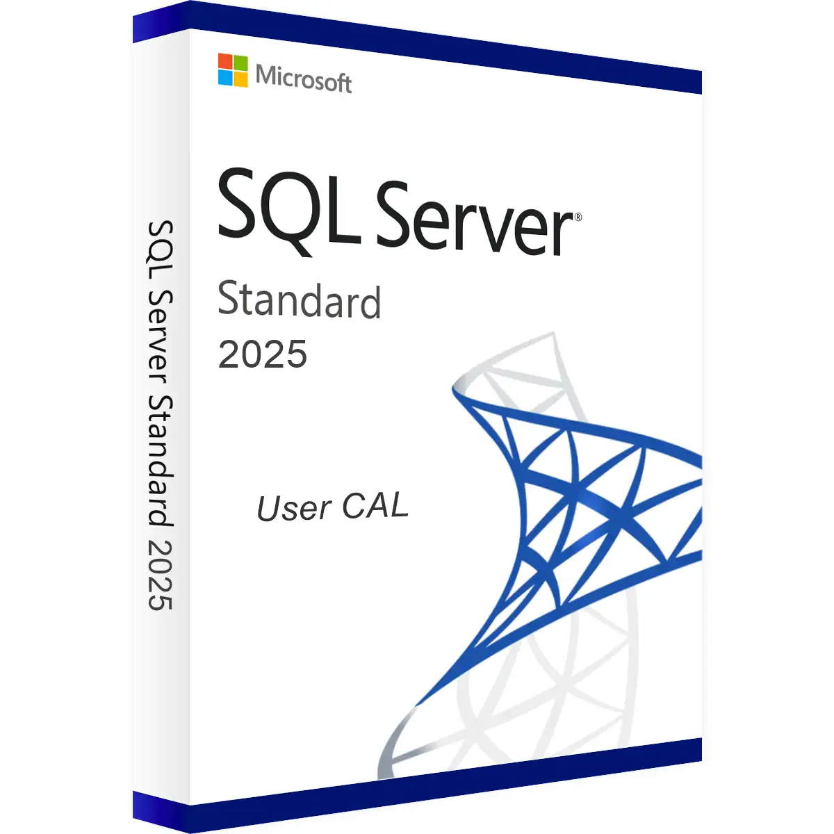 Licence d'accès utilisateur (CAL) Microsoft SQL Server 2025 | Licence d'accès à la base de données pour 1 utilisateur
