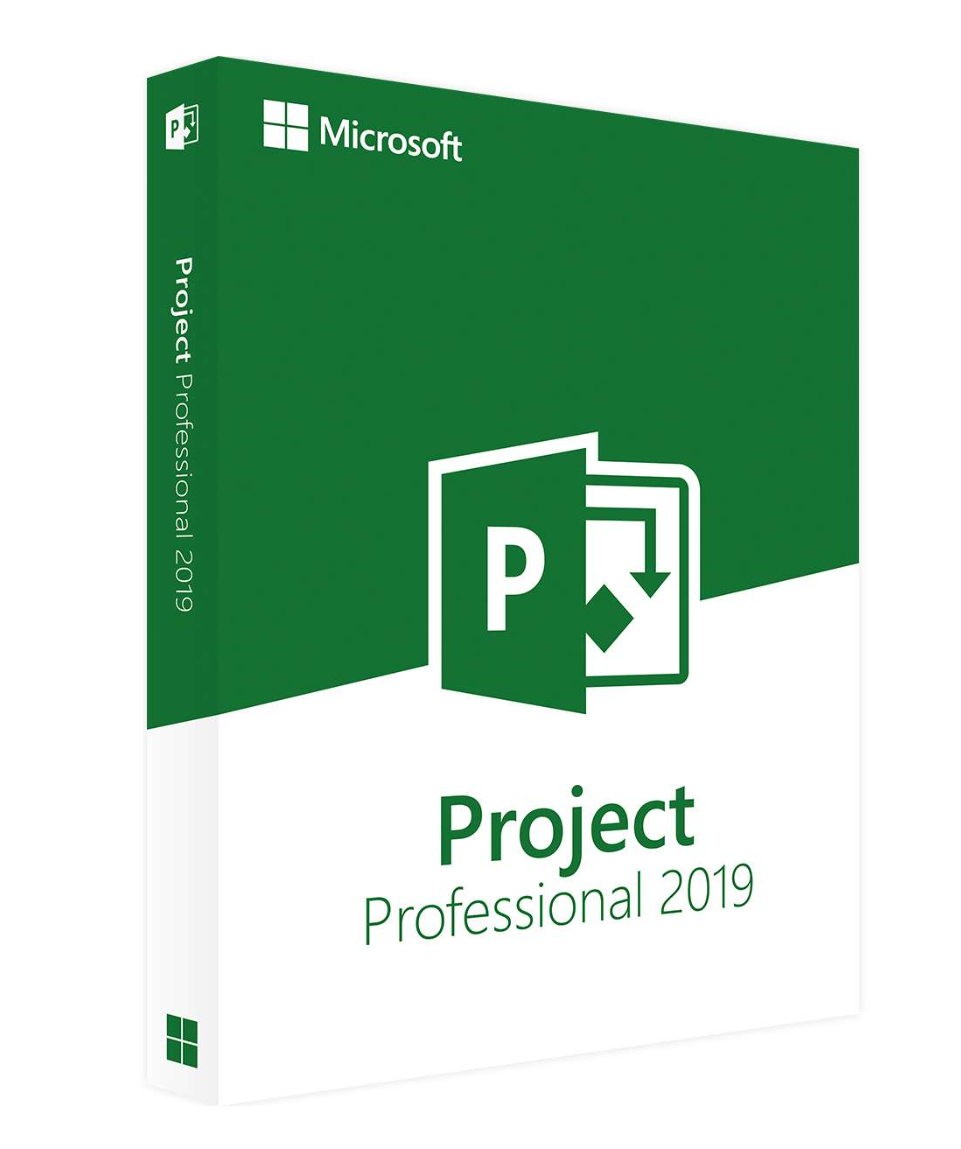 Microsoft Project 2019 Professionnel