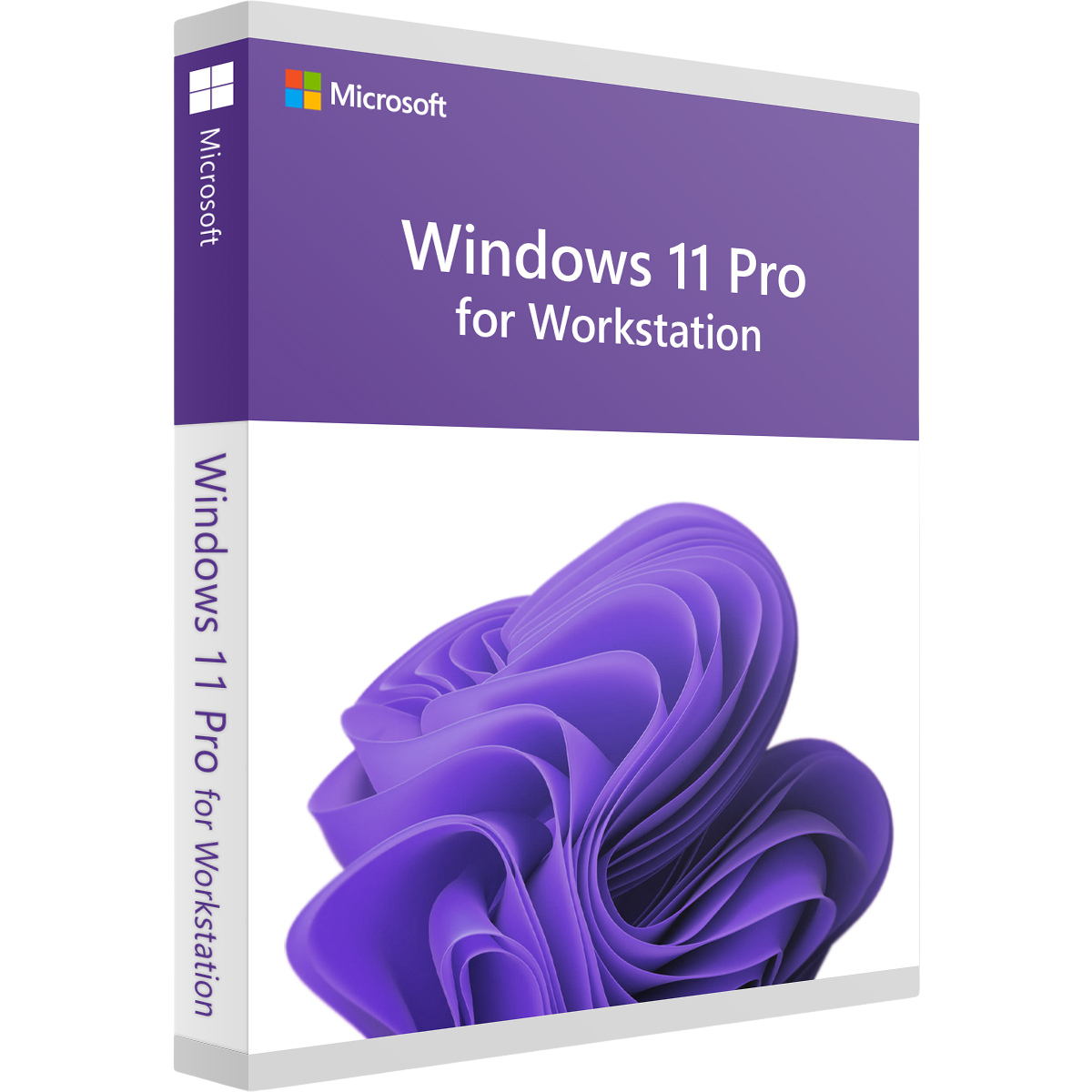 Microsoft Windows 11 Pro pour stations de travail – Licence permanente