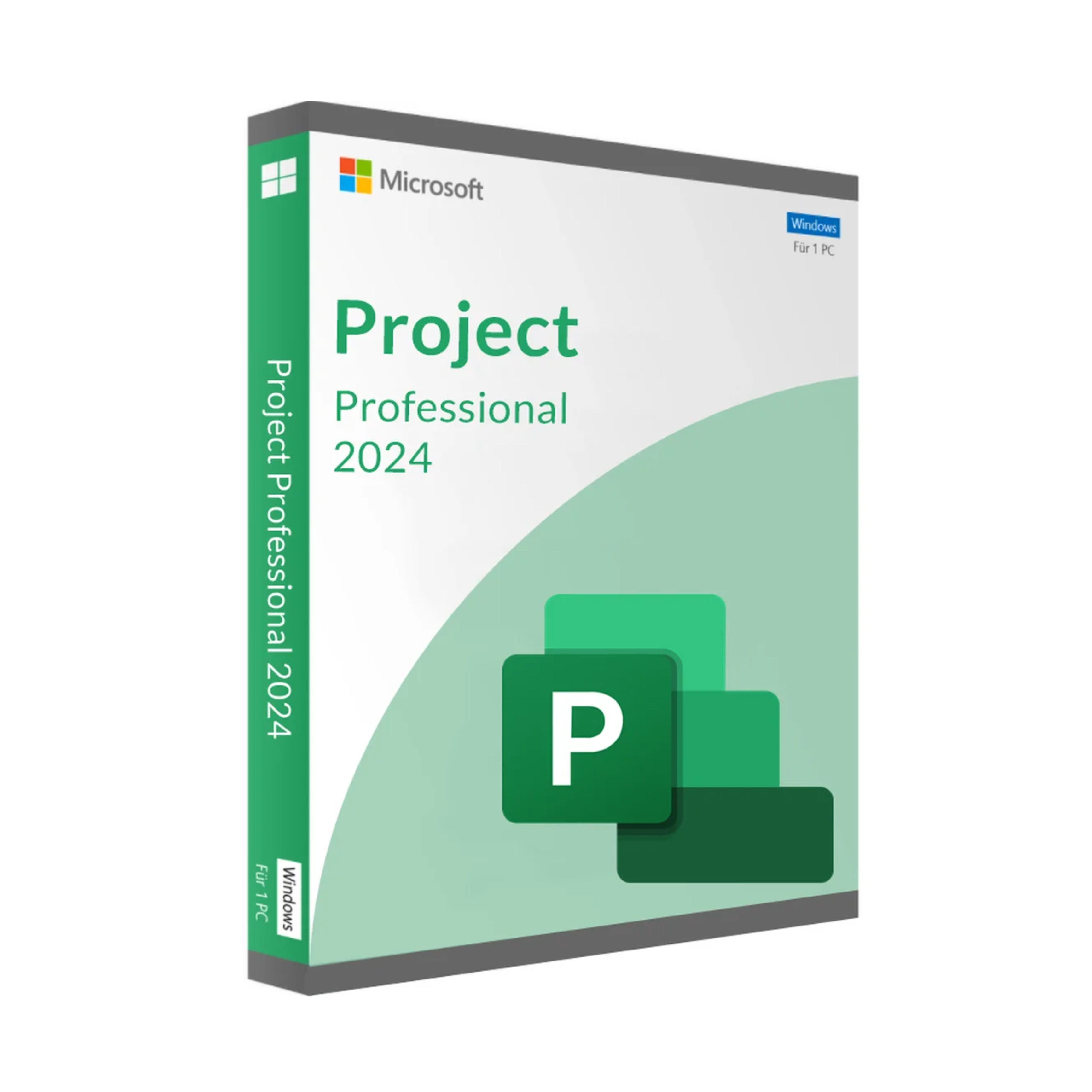 Microsoft Project 2024 Professionnel